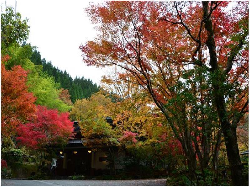 Ryokan Okunoyu Minamioguni Exterior foto